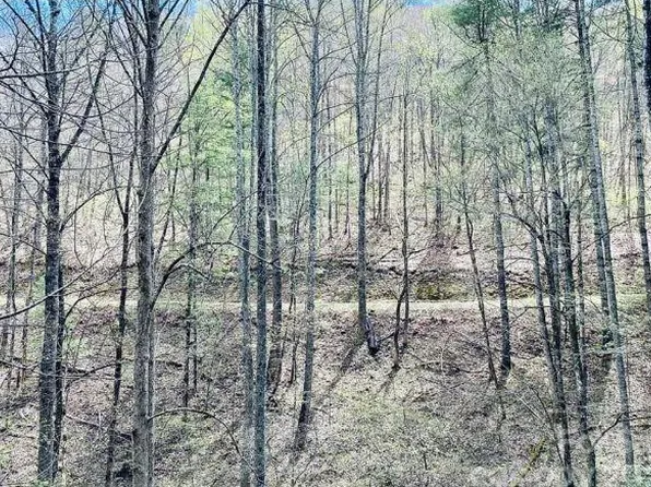 40 Enchanted Forest Dr, Sylva, NC 28779