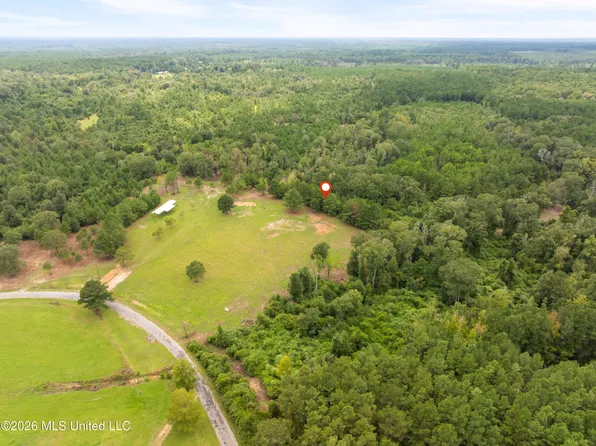 2705 Pilgrim Rest Rd, Magnolia, MS 39652