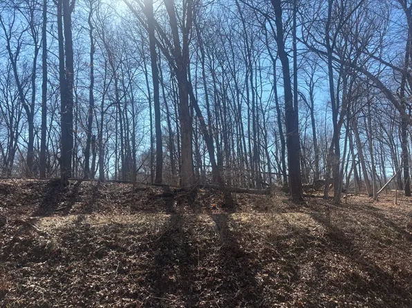 839 Lake Wildwood Dr, Varna, IL 61375