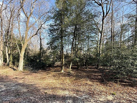 5th image of 0 Utica Rd Parcel 4