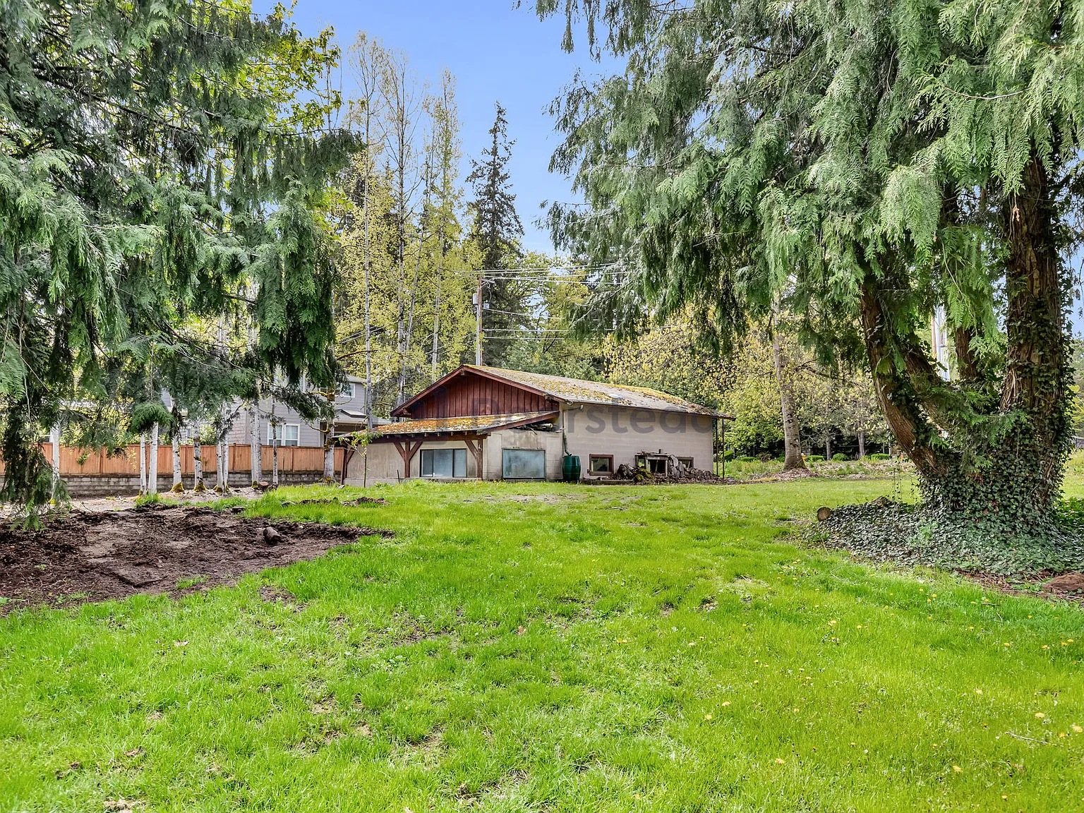 3 bed, 2.0 bath, 2340 sqft, $3,500 — Photo 3