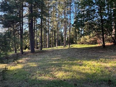 20035 Redwood Ct, Foresthill, CA, 95631