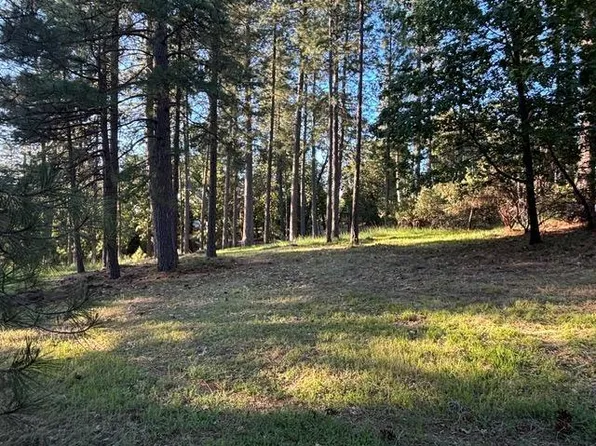 20035 Redwood Ct, Foresthill, CA 95631