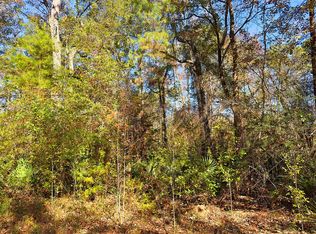 254 Riverside Cir, Wewahitchka, FL 32465