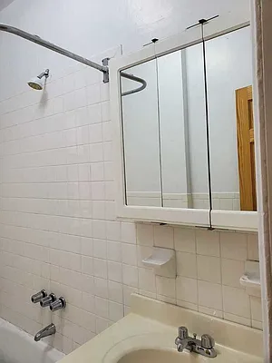 Rented by Manhattan Flats | media 15