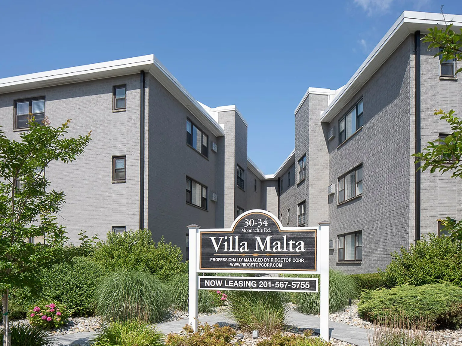 Villa Malta: On-Site Washer & Dryer, Water Included, Cat Friendly, and Walk-In Closets — Photo 3
