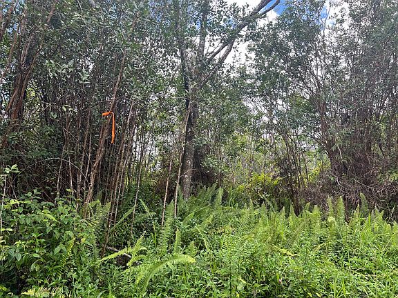 5th image of 16-1174 Road 11 Lot 5906