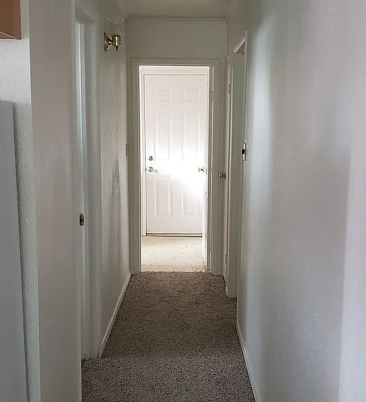 3541 Blue Gum St — Photo 5