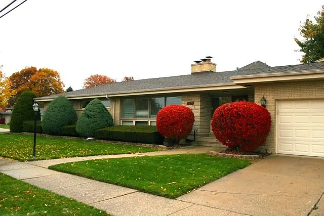 9241 Kedvale Ave photo 1