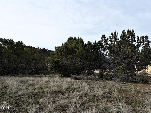 3rd image of 676 N Bald Mountain Cir Lot 272