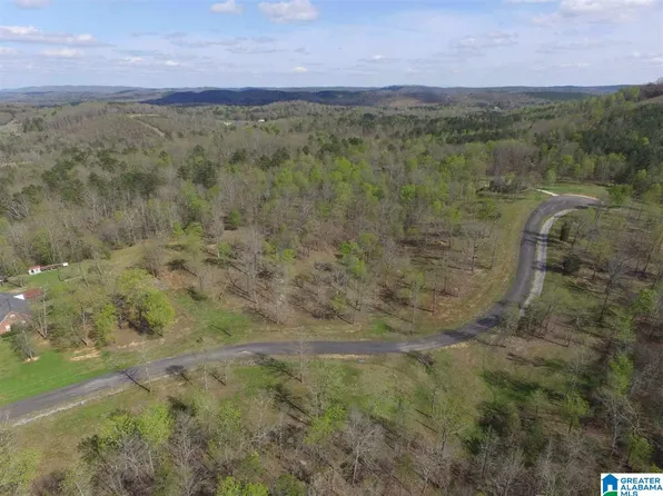 523 Stone Ridge Dr #23-24-25, Springville, AL 35146