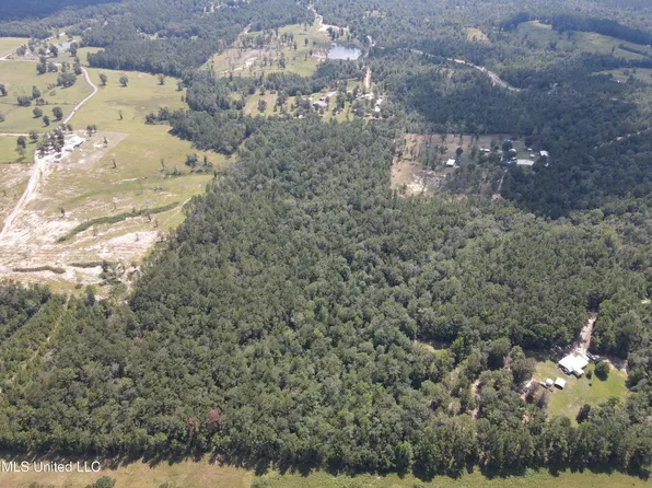 Off Doe Ridge Highland, Lucedale, MS 39452