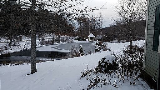 swimming pond and gazebo 