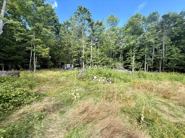 264 Windfall Rd, Wells, NY 12190