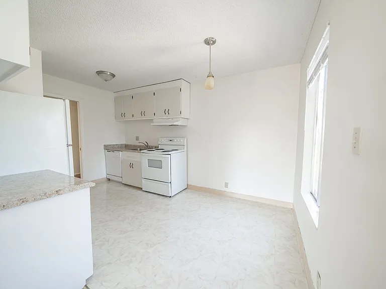 33 Moss Avenue — Photo 7