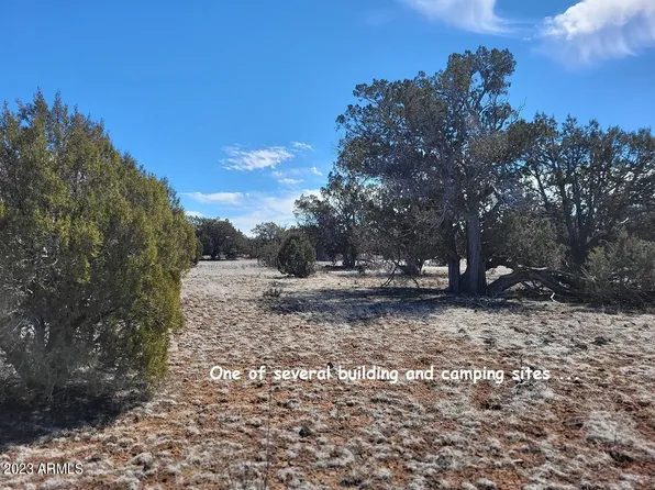 673 N Stone Lake -- #673, Williams, AZ 86046