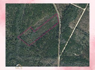 0 George Swindell Rd NE, Ludowici, GA 31316