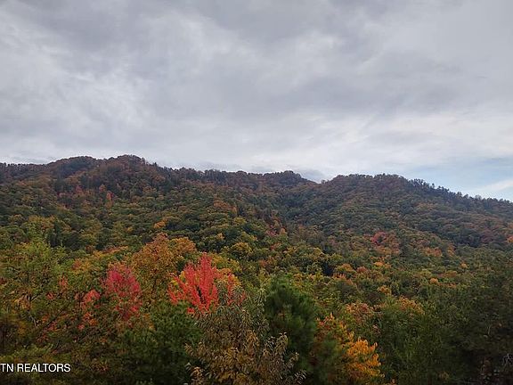 48th image of this home