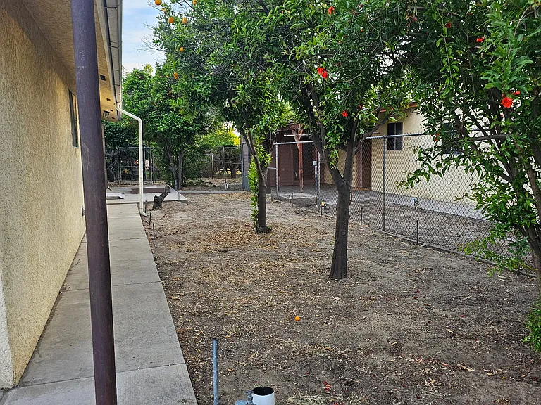 1343 Clay St — Photo 16