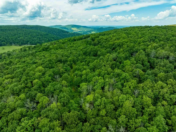 0 Old 66 Rd, Leslie, AR 72645