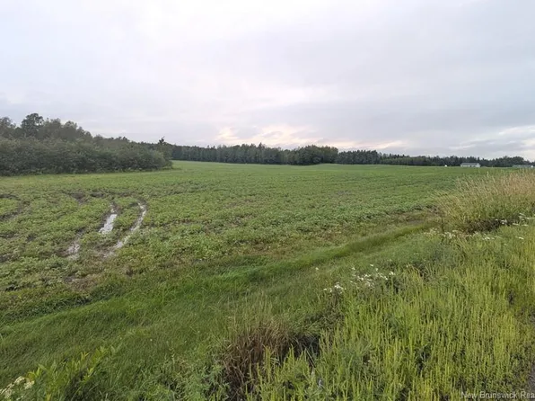 LOT Saint Philippe Rd, Shediac, NB E1H 1S8
