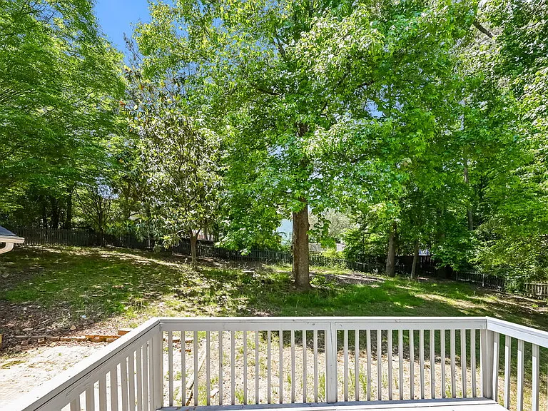 2915 Emerson Lake Dr — Photo 19