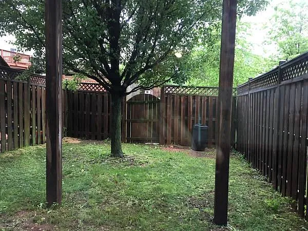 Fenced backyard