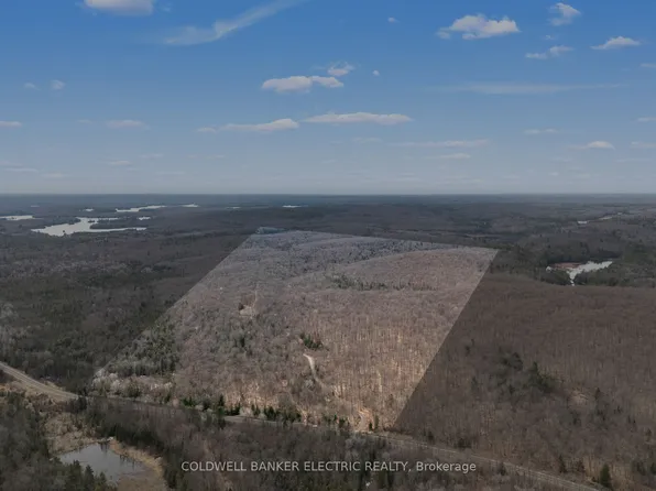 2075 Dyno Rd, Cardiff, ON K0L 1C0