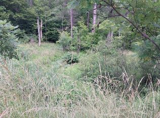 0 Hornby Rd, Corning, NY 14830