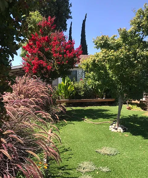 2961 Tobin Dr — Photo 1
