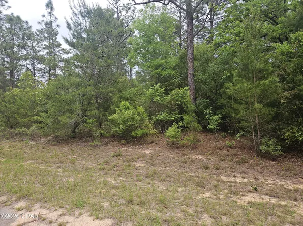 0 Statler Avenue 89 #-01-0010, Chipley, FL 32428