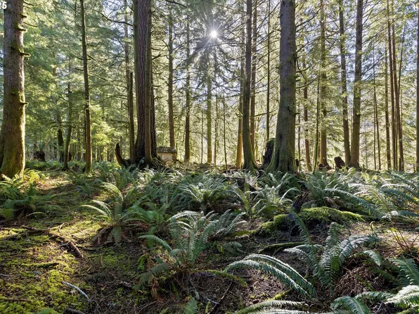 N Stockton Ave #Tl-2700, Otis, OR 97368