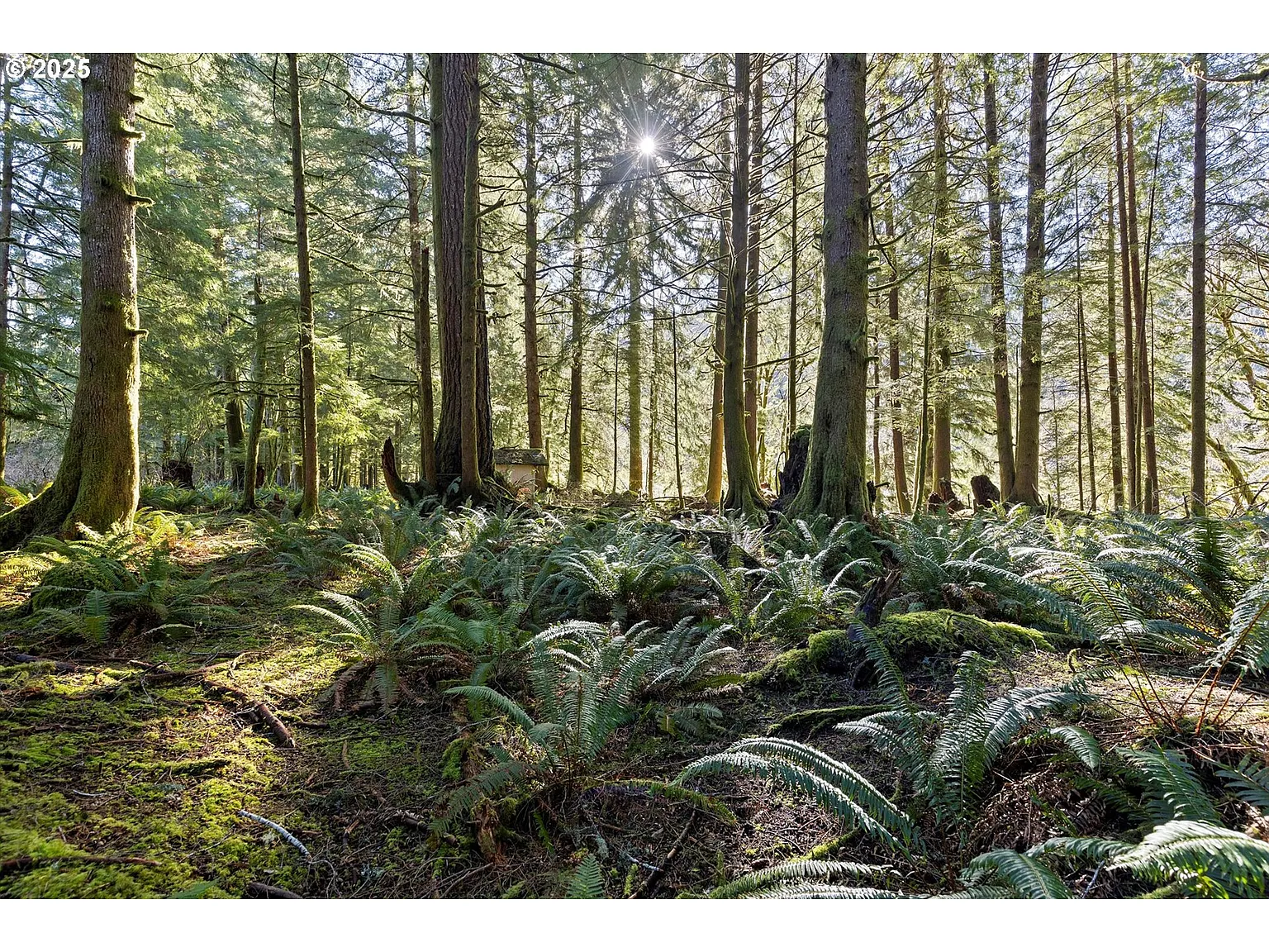 N Stockton Ave #Tl-2700 photo 1