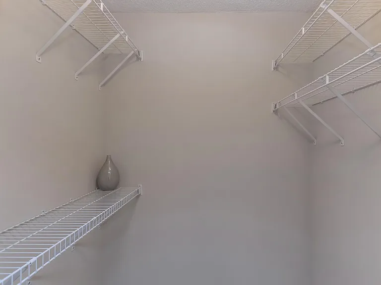 Ample Storage Space - Walk-In Closet