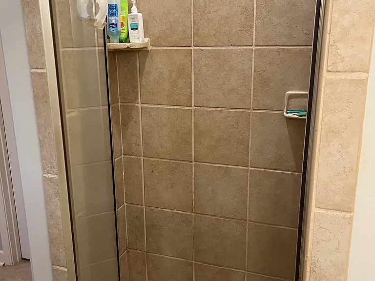 Master bathroom walk-in shower.