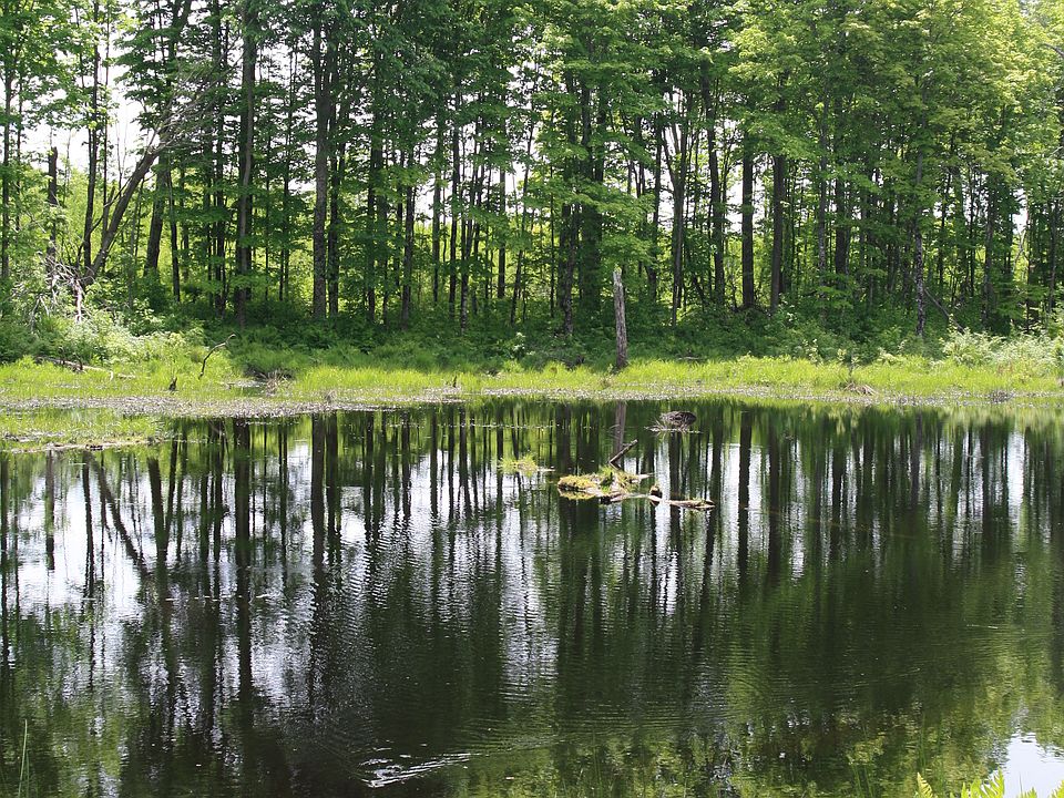 2nd image of Tbd Skyline Mud Lk