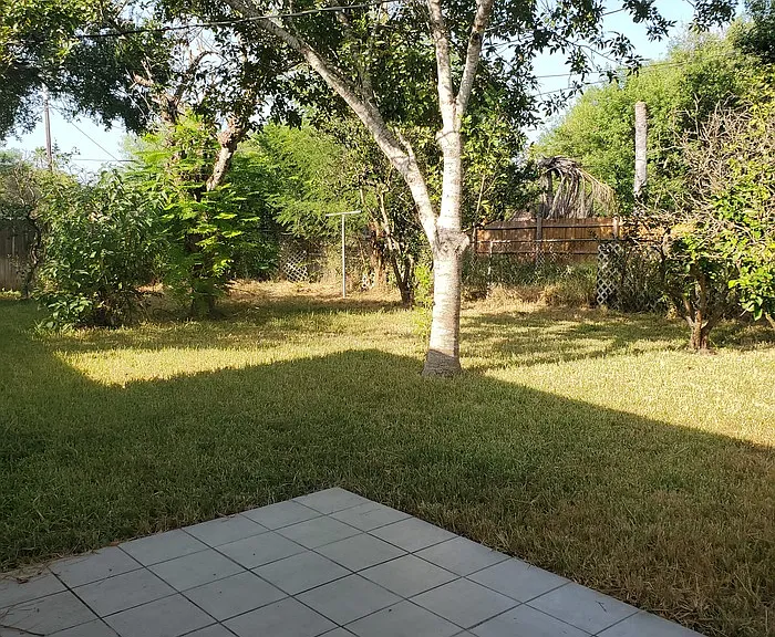 814 E Ebony Dr — Photo 15
