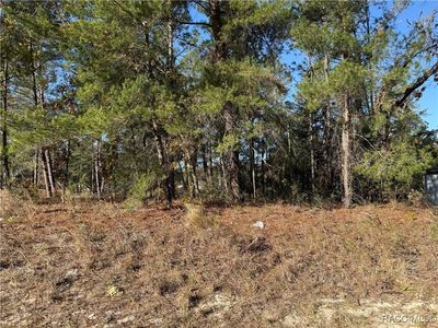 7920 N Maltese Dr, Citrus Springs, FL, 34433