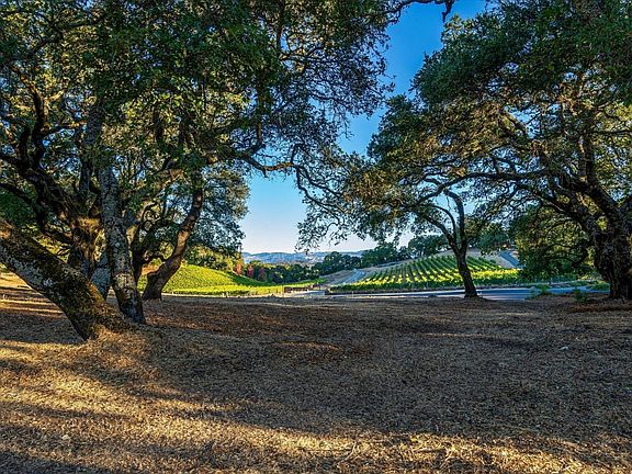 5th image of 824 Shiloh Glen
