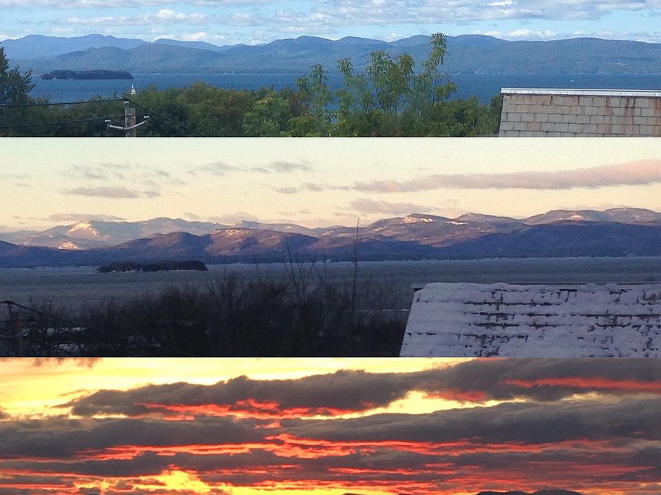 Seasonal views from Living & Bonus Room