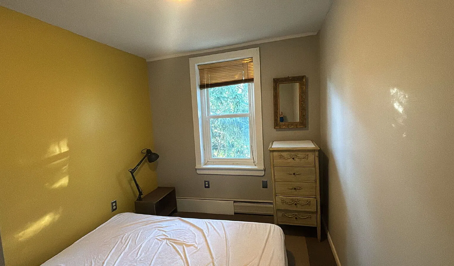 1 bed, 1.0 bath, $550 — Photo 2