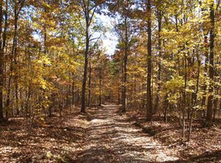 Reynolds Bridge Rd, Ocoee, TN 37361