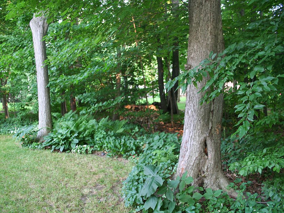 1st image of 6527 Crabapple Dr
