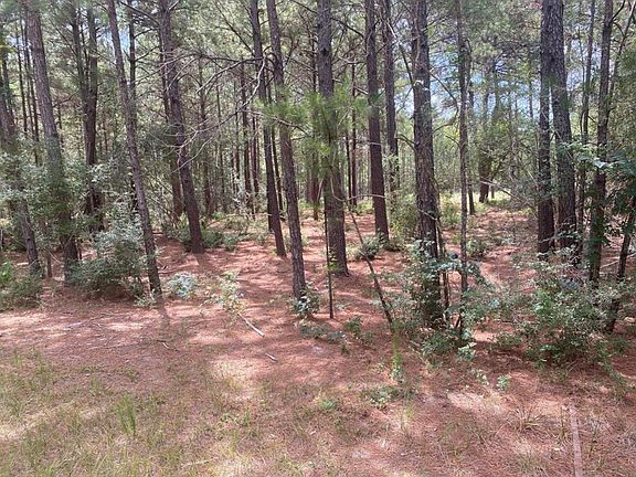 3rd image of 15310 Thistle Down Rd