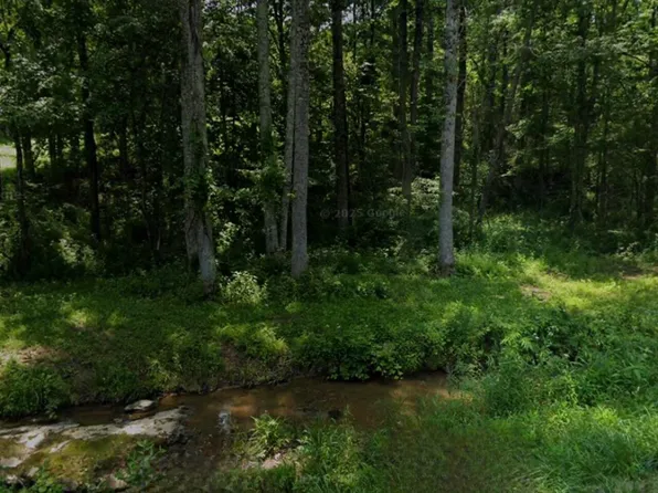 32 Coon Creek Rd, Wellington, KY 40387