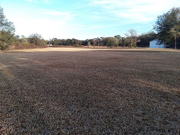 Back of yard towards house