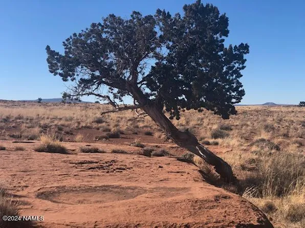 273 Antelope Trl, Winslow, AZ 86047