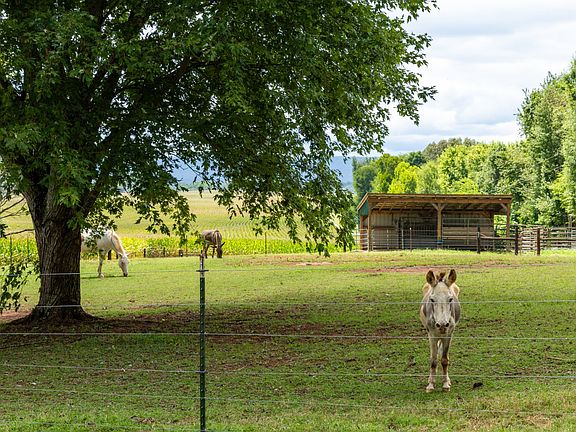 47th image of this home