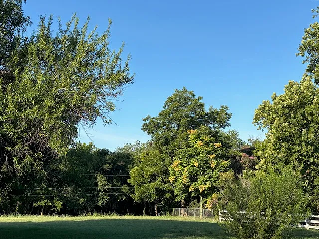 Field across the street