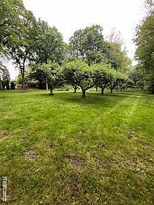 2nd image of 0 Camellia Ln